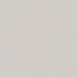 Image of a Light Grey colour swatch